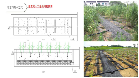 人工濕地示意圖-2