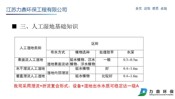 人工濕地基礎(chǔ)知識